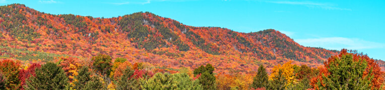 A view of the mountains in the Fall at Massanutten Resort