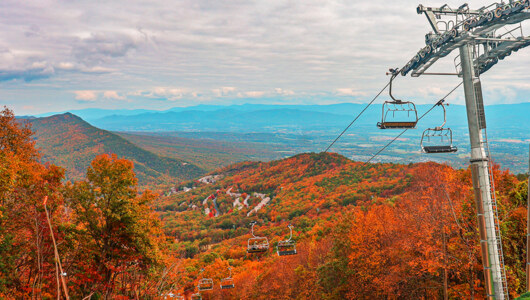 Scenic Chairlift Rides